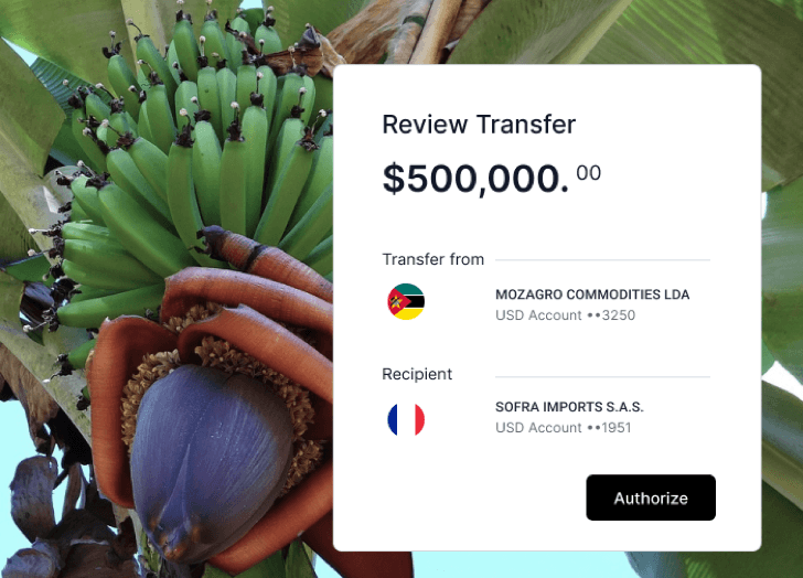 Open a Global USD Account. Receive USD From Anywhere